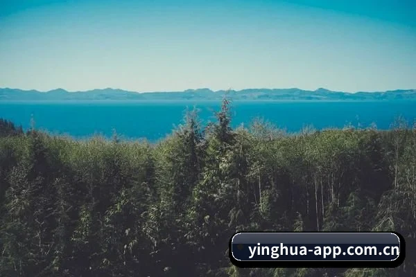 平台纪检委愿景